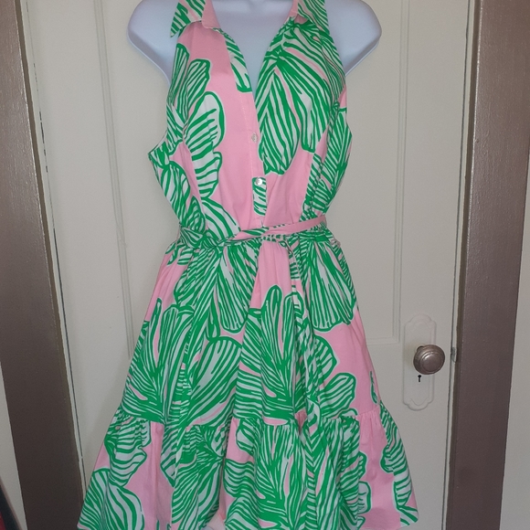 Lilly Pulitzer Trisha Shirt Dress Size 10 - Picture 2 of 4